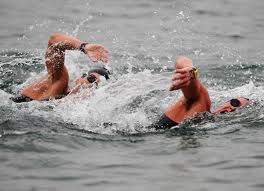 OpenWaterSwim